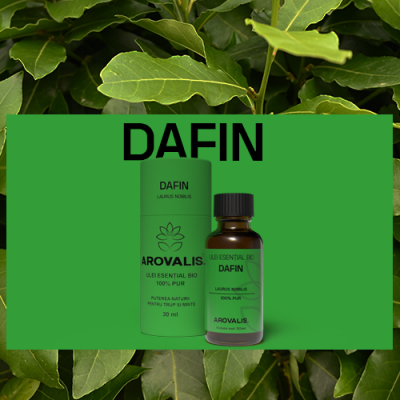 ulei esențial de dafin Arovalis – utilizat pentru respirație, imunitate și relaxare