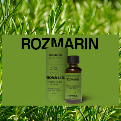ulei esențial de rozmarin Arovalis – utilizat pentru memorie, circulație și îngrijirea părului