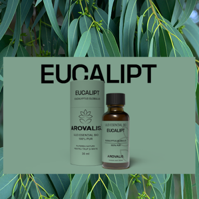 esențial de eucalipt Arovalis– ideal pentru respirație ușurată și aromaterapie