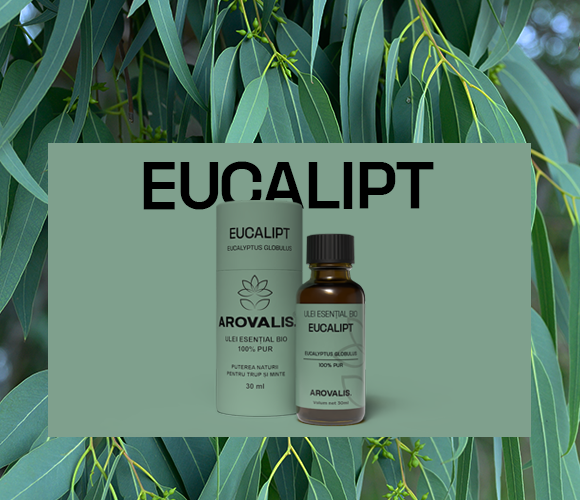 esențial de eucalipt Arovalis– ideal pentru respirație ușurată și aromaterapie