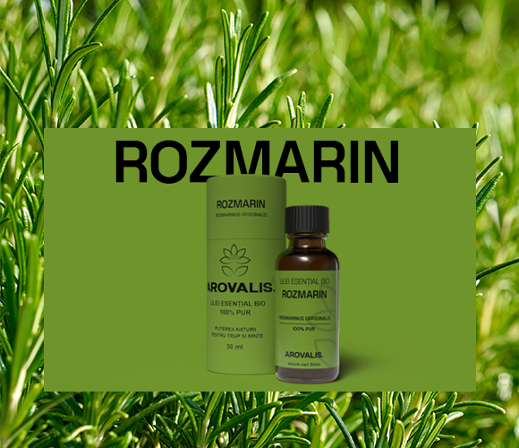 Rozmarin-Ghid